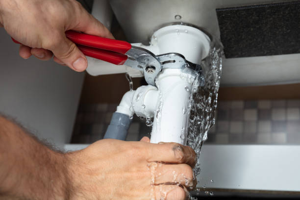 Best Basement water damage restoration  in Hartford, AL
