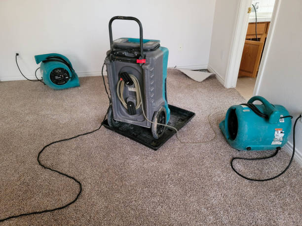 Best Water damage restoration near me  in Hartford, AL
