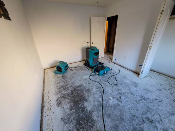 Best Local water damage restoration  in Hartford, AL