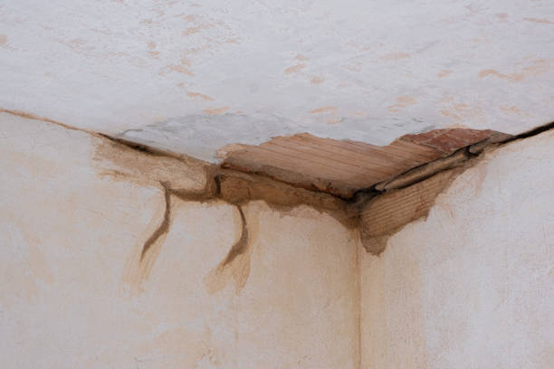 Best Flood damage cleanup  in Hartford, AL