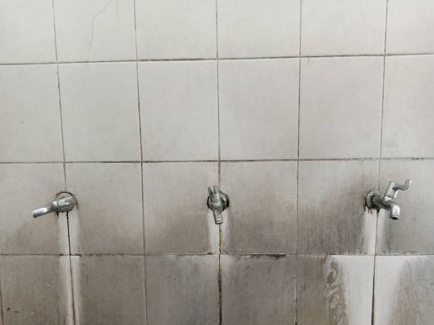 Best Fire Damage Restoration  in Hartford, AL